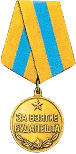 Медаль за взятие будапешта